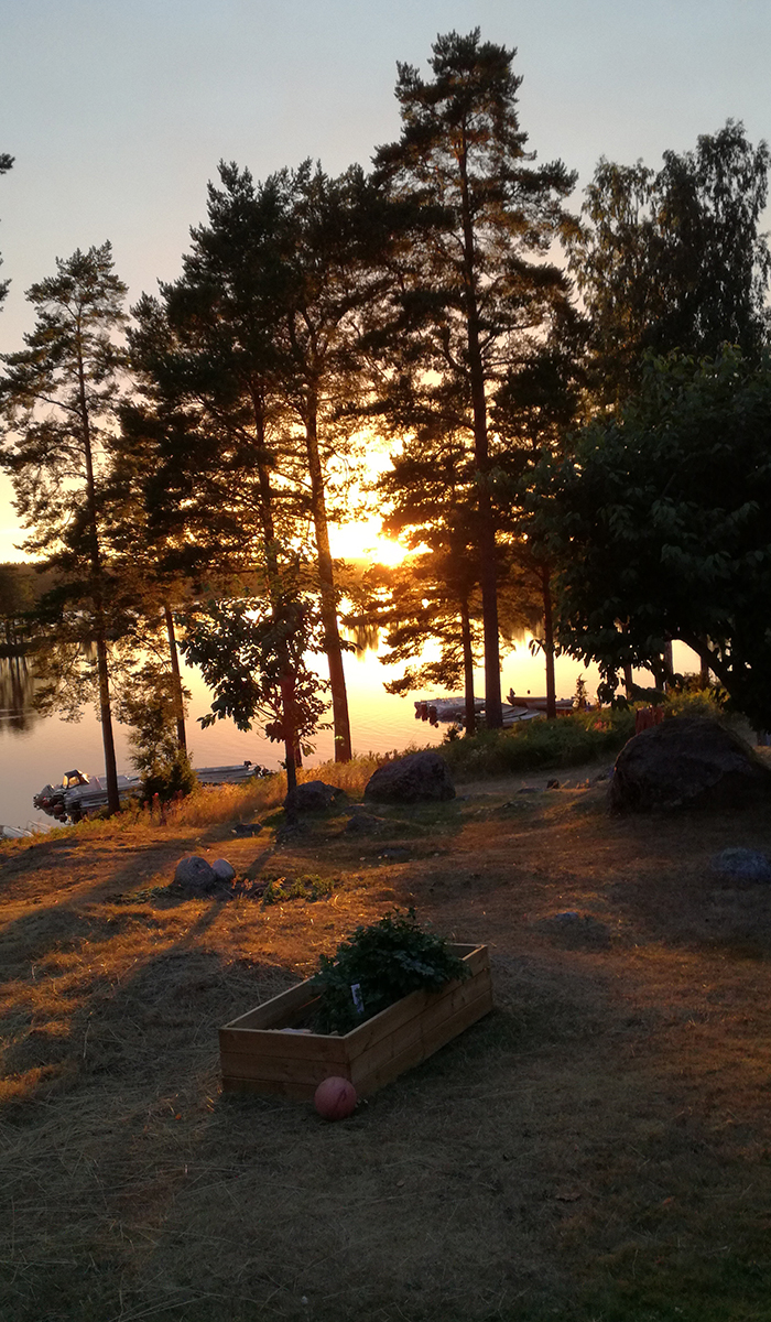 Solnedgång